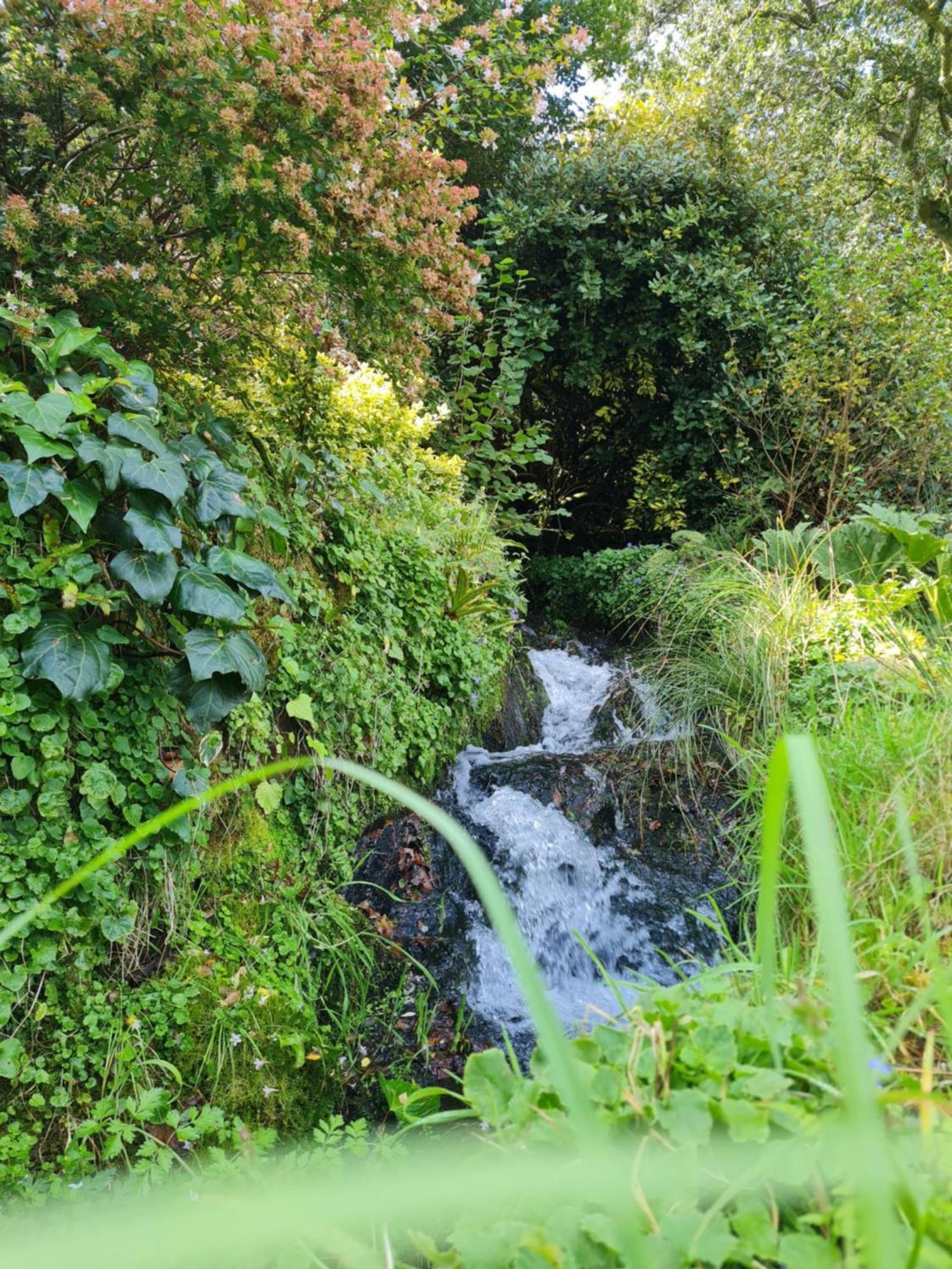 Plogonnec Moulin De Bonnescatヴィラ エクステリア 写真