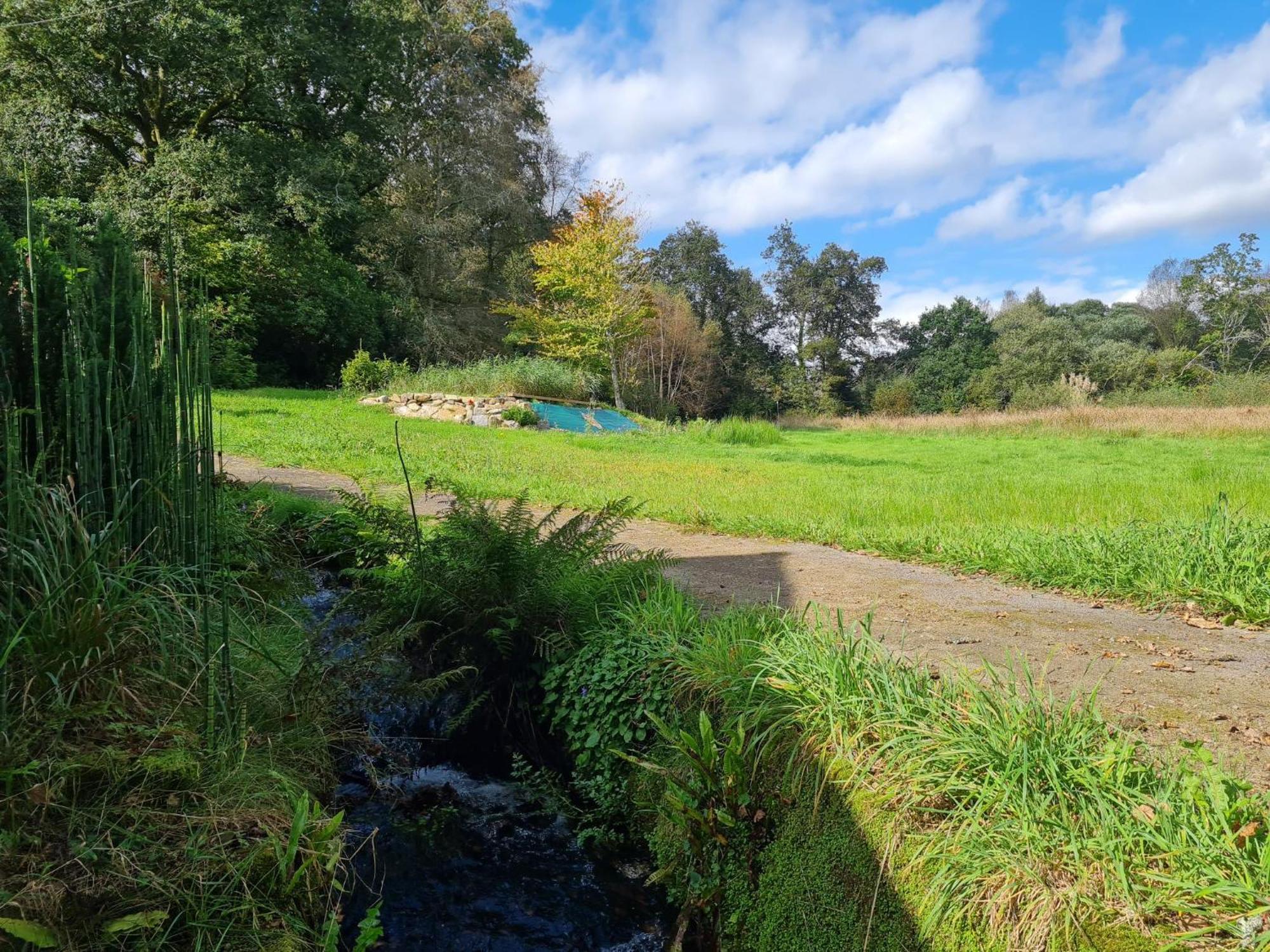 Plogonnec Moulin De Bonnescatヴィラ エクステリア 写真